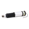 RIDEX 4118A0010 Air suspension strut for BMW 7 (E65, E66, E67)