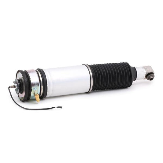 RIDEX 4118A0010 Air suspension strut for BMW 7 (E65, E66, E67)