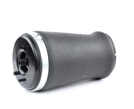 RIDEX 4119A0013 Air Spring, suspension for BMW 5 Touring (E39)
