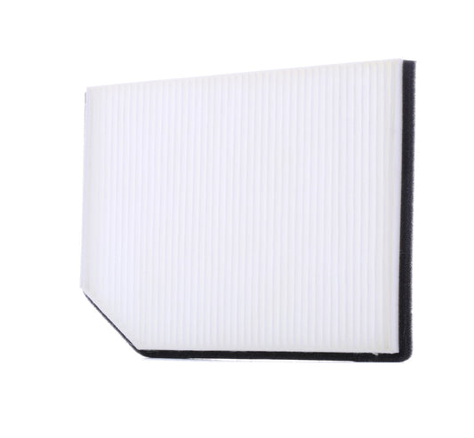 RIDEX 424I0138 Pollen filter