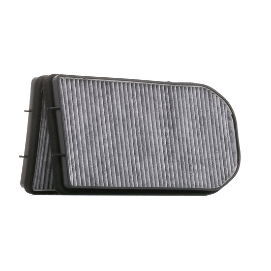 RIDEX 424I0217 Pollen filter