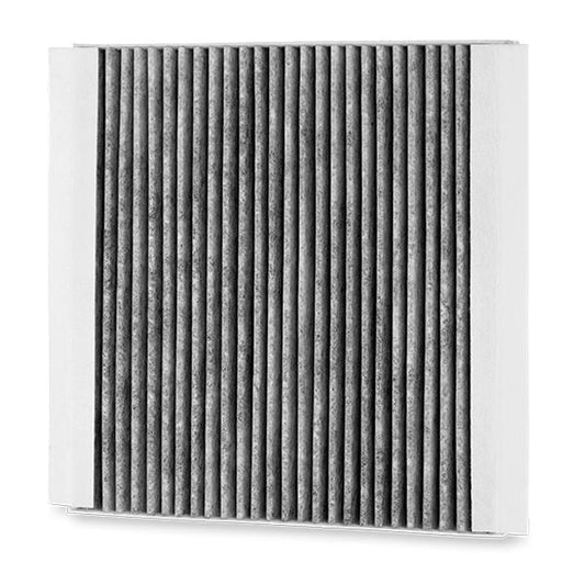 RIDEX 424I0229 Pollen filter