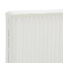 RIDEX 424I0268 Pollen filter