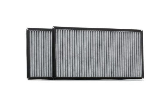 RIDEX 424I0278 Pollen filter