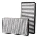 RIDEX 424I0278 Pollen filter