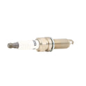 RIDEX 686S0117 Spark Plug