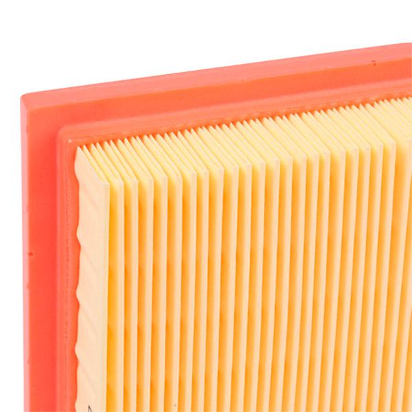 RIDEX 8A0043 Air Filter