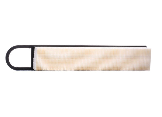 RIDEX 8A0176 Air Filter