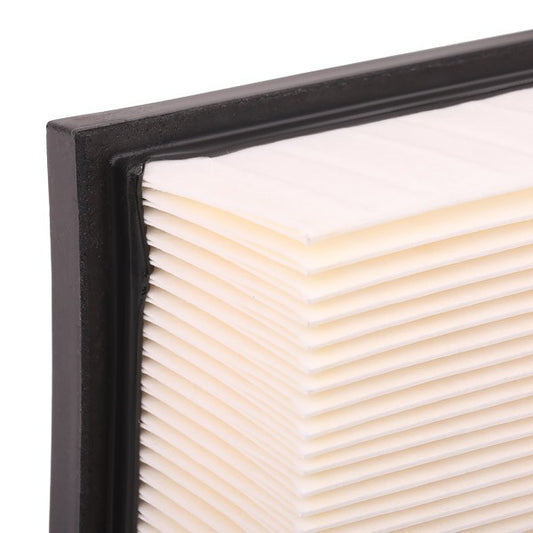 RIDEX 8A0357 Air filter