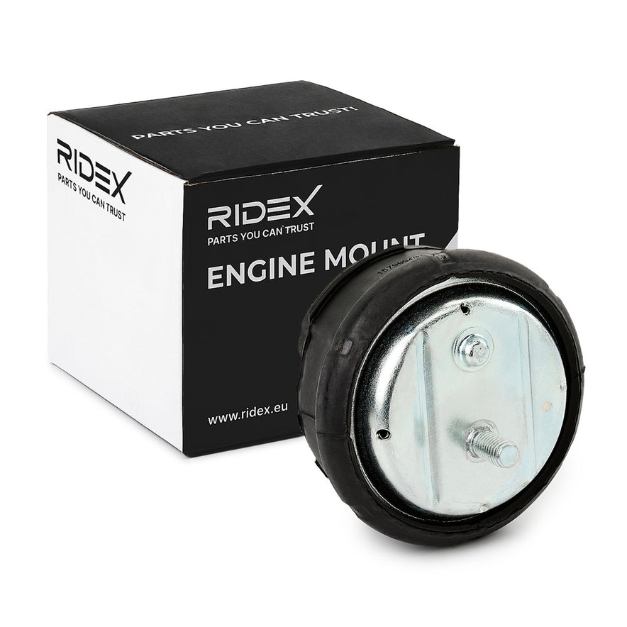 RIDEX 247E0043 Engine mount