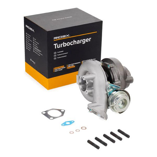 RIDEX 2234C0365 Turbocharger for BMW X5 (E53)