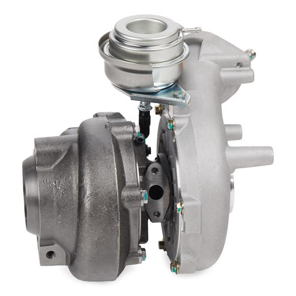 RIDEX 2234C0365 Turbocharger for BMW X5 (E53)