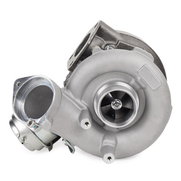 RIDEX 2234C0365 Turbocharger for BMW X5 (E53)
