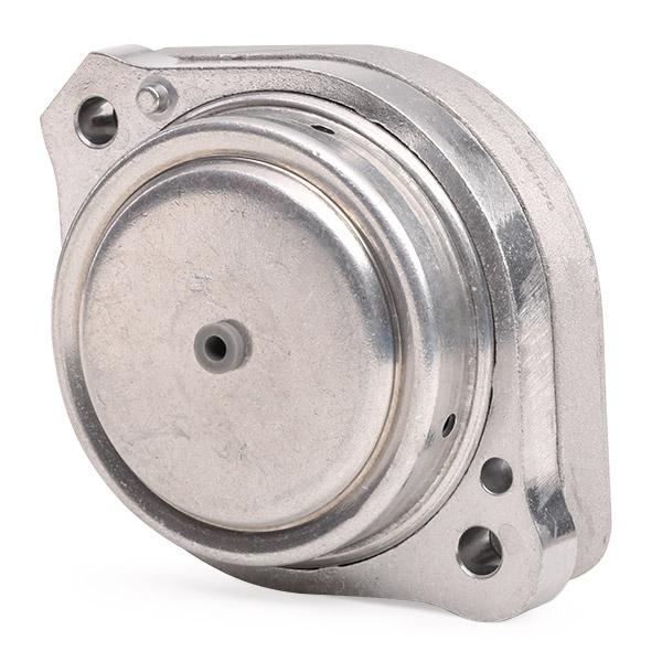 RIDEX 247E0502 Engine mount