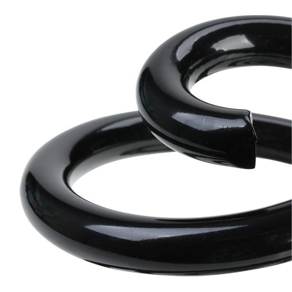 RIDEX 188C0023 Coil Spring for BMW 3 Series