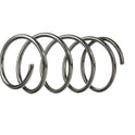 RIDEX 188C0267 Coil Spring