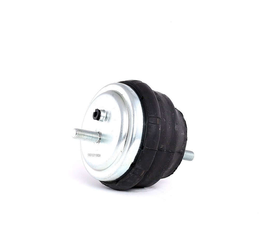 RIDEX 247E0124 Engine mount