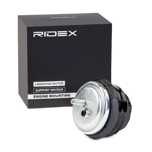 RIDEX 247E0124 Engine mount