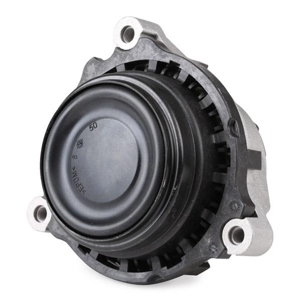 RIDEX 247E0542 Engine mount