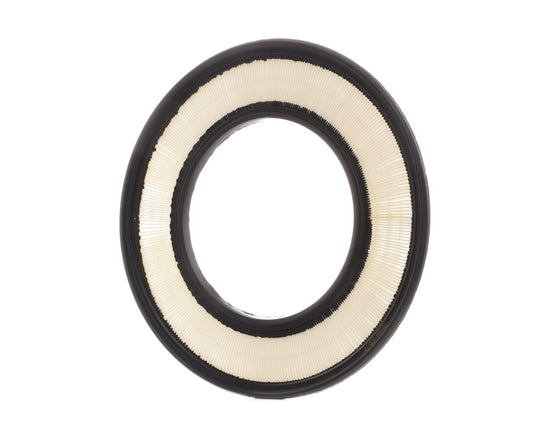 RIDEX 8A0498 Air Filter