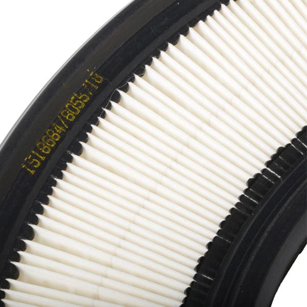 RIDEX 8A0498 Air Filter