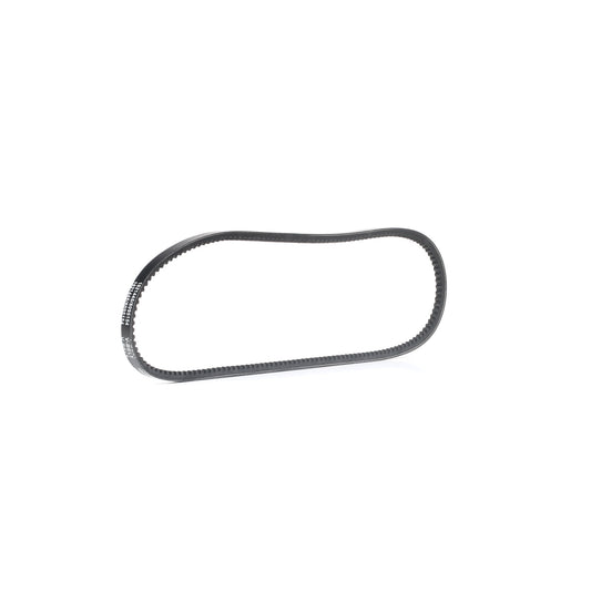 RIDEX 10C0048 V-Belt