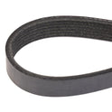 RIDEX 305P0175 V-ribbed belt