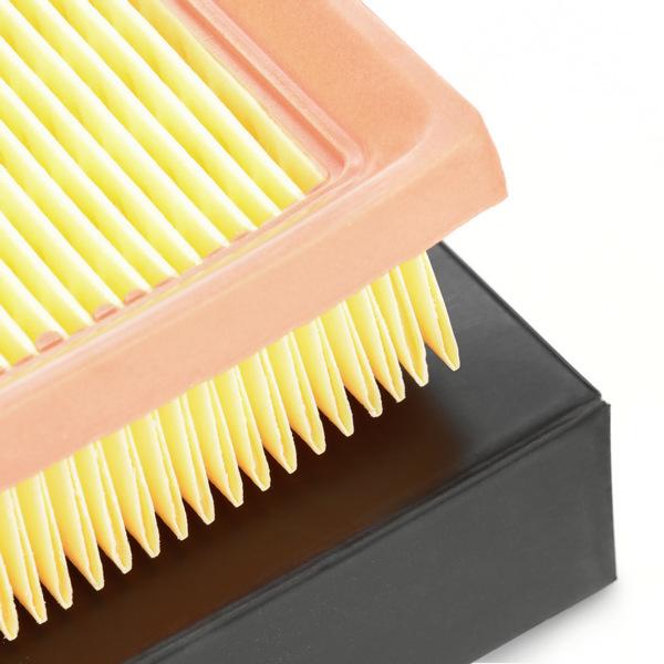RIDEX 8A0532 Air Filter for BMW 3 Series