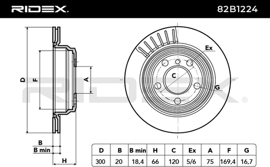 RIDEX 82B1224 Brake Disc - rear axle (pair)