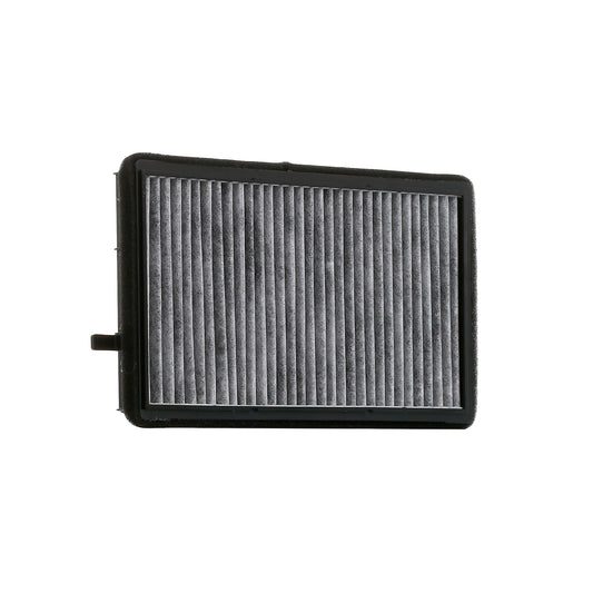 RIDEX 424I0327 Pollen filter