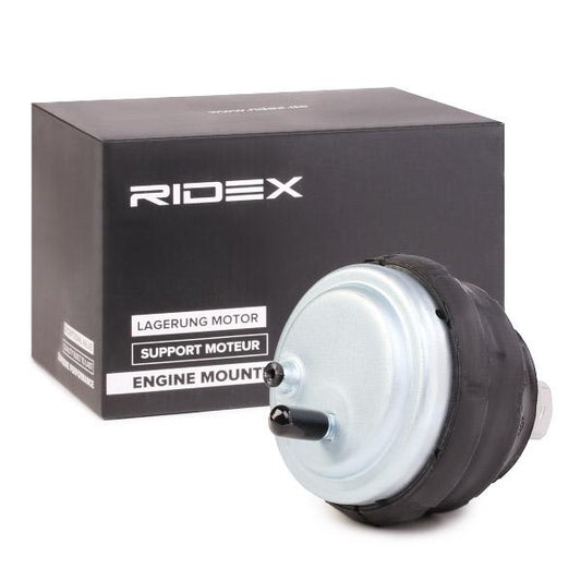 RIDEX 247E0063 Engine mount
