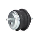 RIDEX 247E0053 Engine mount