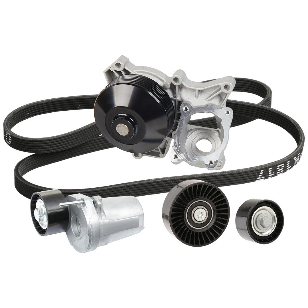 RIDEX 4172P0079 Water Pump + V-Ribbed Belt Kit