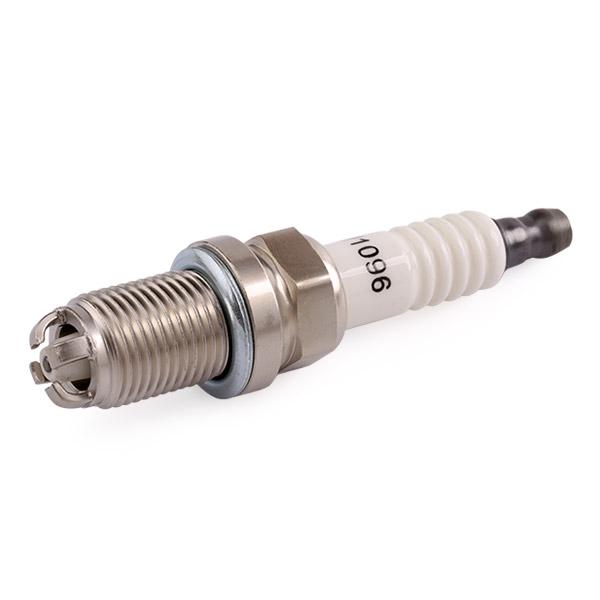 RIDEX 686S0006 Spark Plug