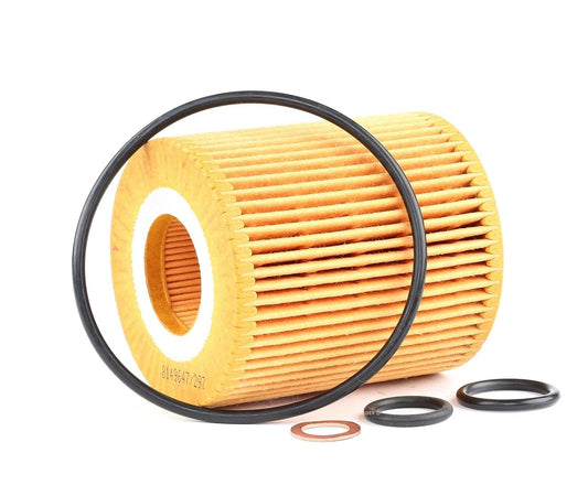 RIDEX 7O0061 Oil Filter; Filter Insert - for BMW