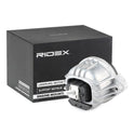 RIDEX 247E0169 Engine mount