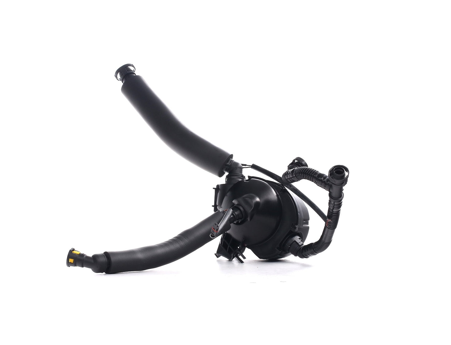 RIDEX 3886V0048 Repair Set, crankcase breather