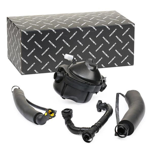 RIDEX 3886V0048 Repair Set, crankcase breather