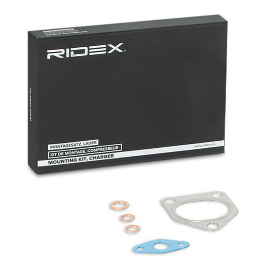 RIDEX 2420M0031 Mounting Kit, charger